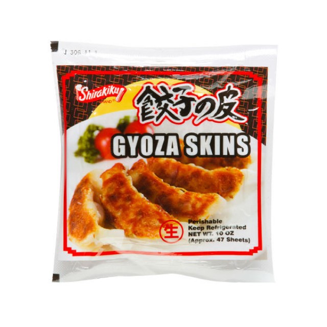 pasta de wantan 2-01